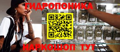 сатива Нальчик